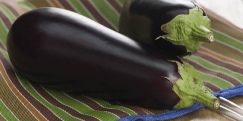 Sadnja patlidžana u prizemne sadnice