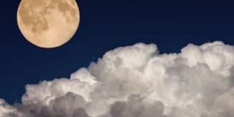 Sadnja krastavaca za sadnice po lunarnom kalendaru 2018