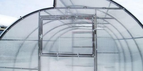 Sadnja paradajza u stakleniku