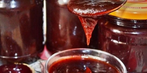 Džem od šljiva za zimnicu