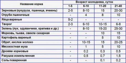 Pravila za hranjenje purana