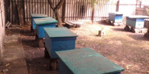 Pravila za držanje pčela