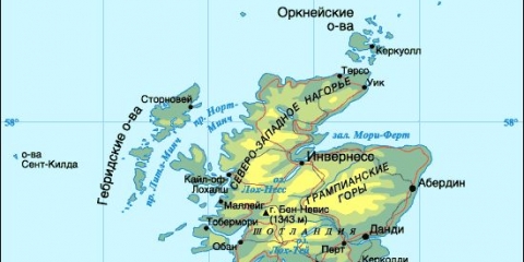 Prednosti krava aberdeen angus