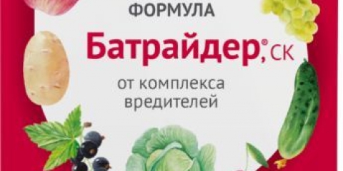 Priprema batridera: upute za upotrebu, recenzije