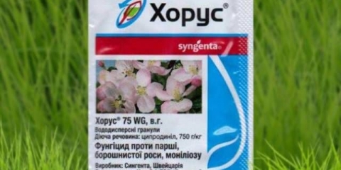 Priprema zbora za tretman biljaka