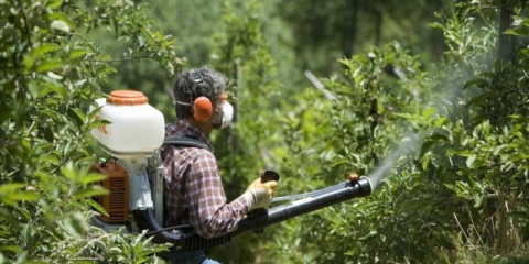 Lijek kleshchevit: upute za uporabu od paukovih grinja, sastav, recenzije