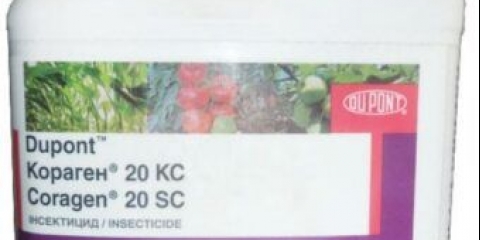 Priprema koragena: upute za upotrebu, potrošnja na 10 litara, recenzije