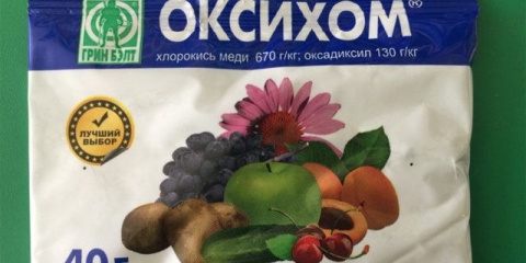 Oxyhom preparat: upute za upotrebu, recenzije, kada obraditi