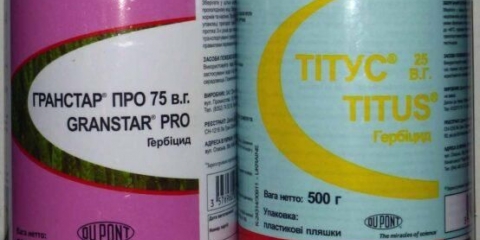 Priprema titusa od korova: upute za upotrebu