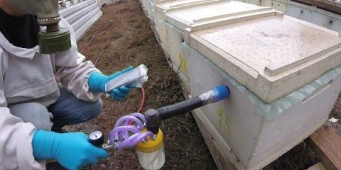 Preparati na bazi amitraza za pčele: uputstvo za upotrebu