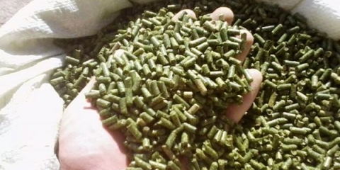 Kuvanje hrane za kuniće kod kuće