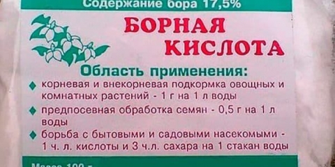 Upotreba borne kiseline pri hranjenju ribizla