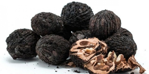 Primjena tinkture crnog oraha