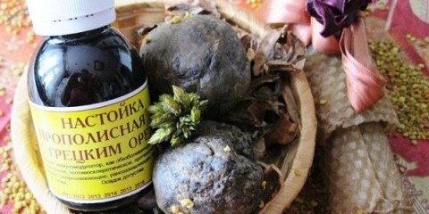 Upotreba tinkture propolisa kod kuće