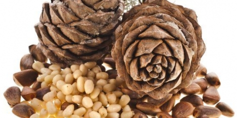 Nanošenje tinkture ljuske pinjola na votku, alkohol