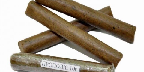 Propolis: ljekovita svojstva i kontraindikacije u onkologiji