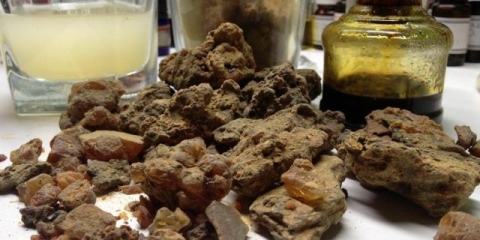 Propolis na alkoholu: ljekovita svojstva i kontraindikacije