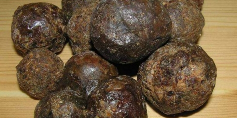 Propolis od prostatitisa