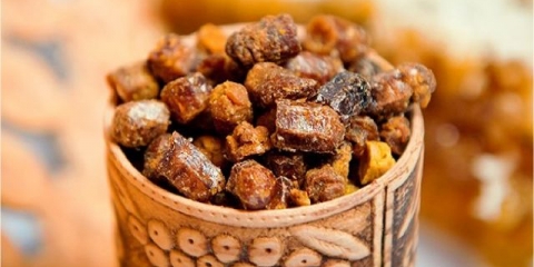 Propolis u pankreatitisu: liječenje pankreasa