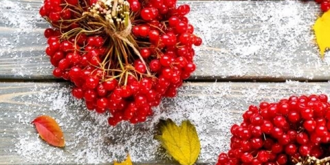 Jednostavan recept od viburnuma za zimu