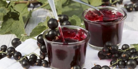 Jednostavni recepti za žele od crne ribizle kod kuće