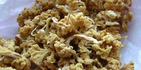 Jednostavni načini kuhanja sušenog kupusa za zimu kod kuće