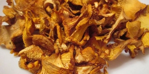 Jednostavni načini kuhanja sušenih lisičarki (+ upute kako sami napraviti sušilicu)