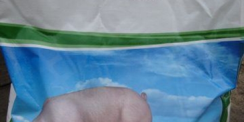 Purine za svinje i prasad