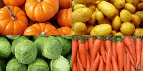 Dijeta za kuniće - što treba i ne treba