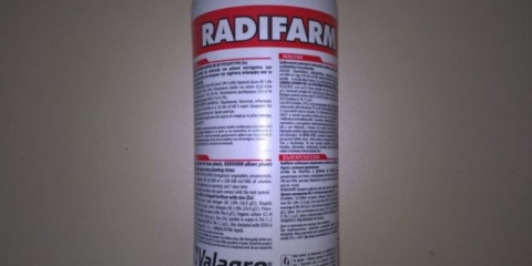 Radipharm (radifarm): ruski analozi, sastav, recenzije vrtlara