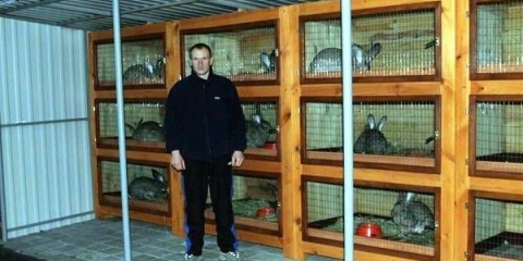 Dimenzije industrijskih kaveza za kuniće