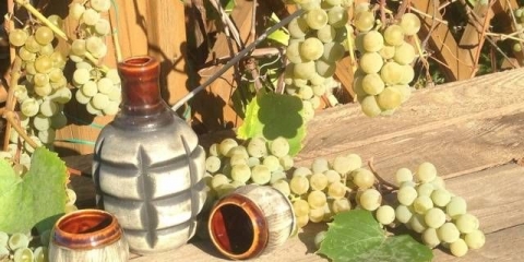 Recept za čaču od vina kod kuće