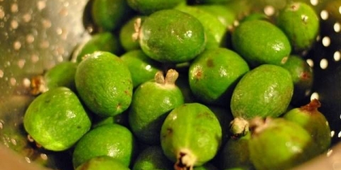 Recept za džem od feijoe