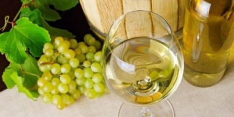 Recepti za domaće vino od zelenog grožđa