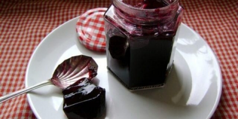 Recepti za džem (džem) od trna za zimu bez koštica