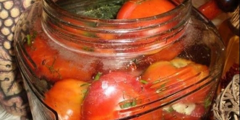 Recepti za punjene paradajz sa belim lukom unutra za zimu