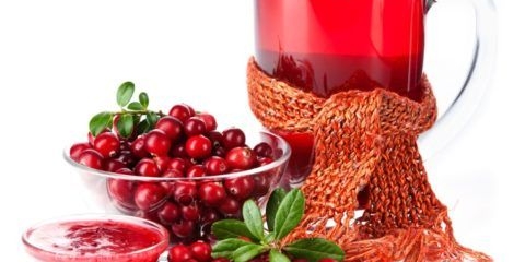 Recepti za čaj od brusnice