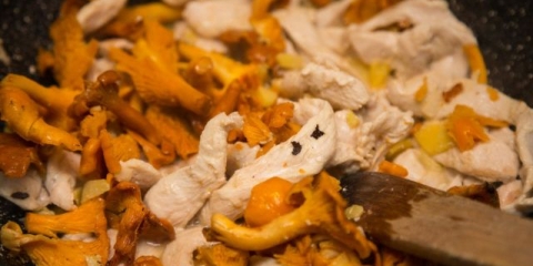 Recepti za piletinu sa lisičarkama u rerni i spori šporet