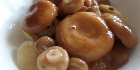 Recepti za kiseljenje gljiva na vruć način