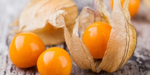 Recepti za kiseli fizalis