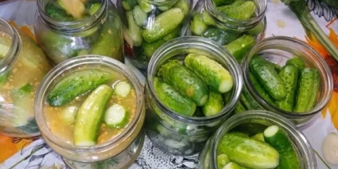 Recepti za krastavce u nadjevu od senfa za zimu: kiseli, soljeni