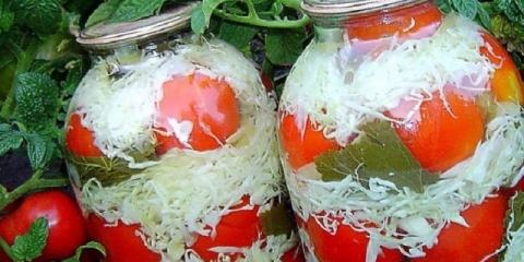Recepti paradajz sa kupusom u tegli