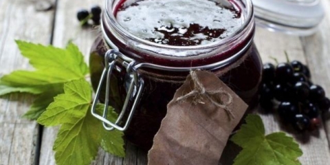 Recepti džema od crne ribizle