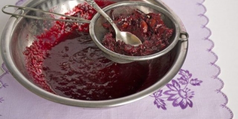 Recepti za žele od drena