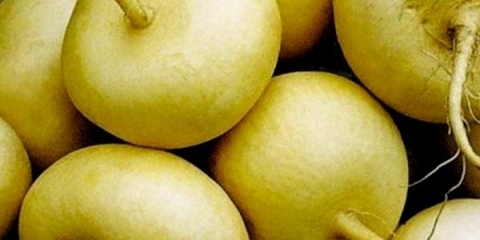 Repa petrovskaya 1: opis sorte, fotografije, recenzije