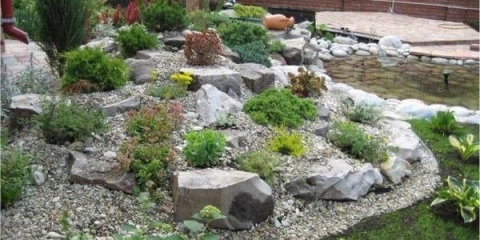 Kamenjari u pejzažnom dizajnu + fotografija