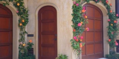 Ruže penjačice u pejzažnom dizajnu