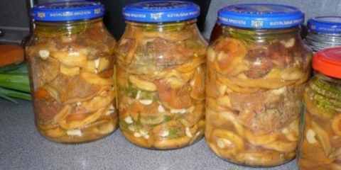 Crvenokose za zimu: recepti za kuhanje s fotografijama korak po korak