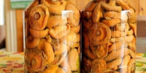 Ryzhiki u vlastitom soku: recepti za zimnicu