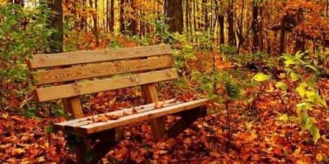 Baštenski usisivač cmi 3u1 c ls1600